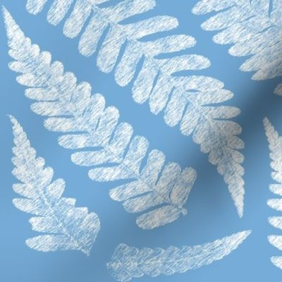 Ferns on blue