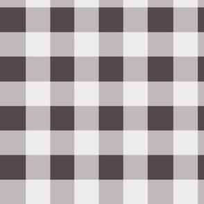 gingham5