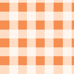 gingham6