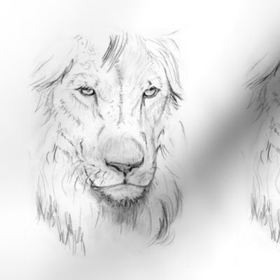 Lion Portrait, Black and White