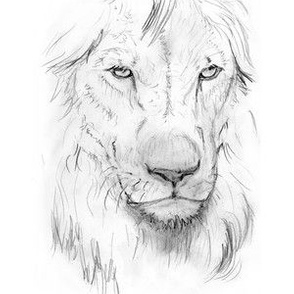 Lion Portrait, Black and White