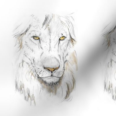 Lion Portrait, Tinted 1