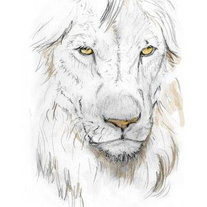 Lion Portrait, Tinted 1