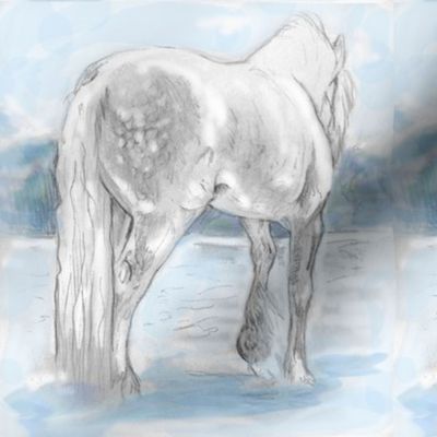 Gypsy Horse, Tinted