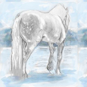 Gypsy Horse, Tinted