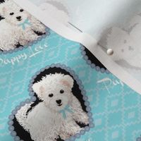 Bichon Frise Puppy dog on blue