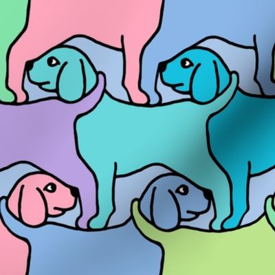 Rainbow Dogs with Border