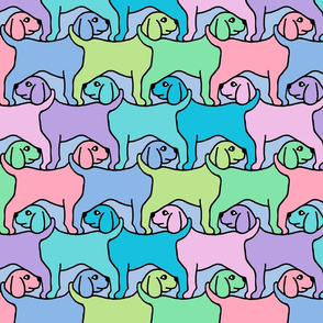 Rainbow Dogs with Border