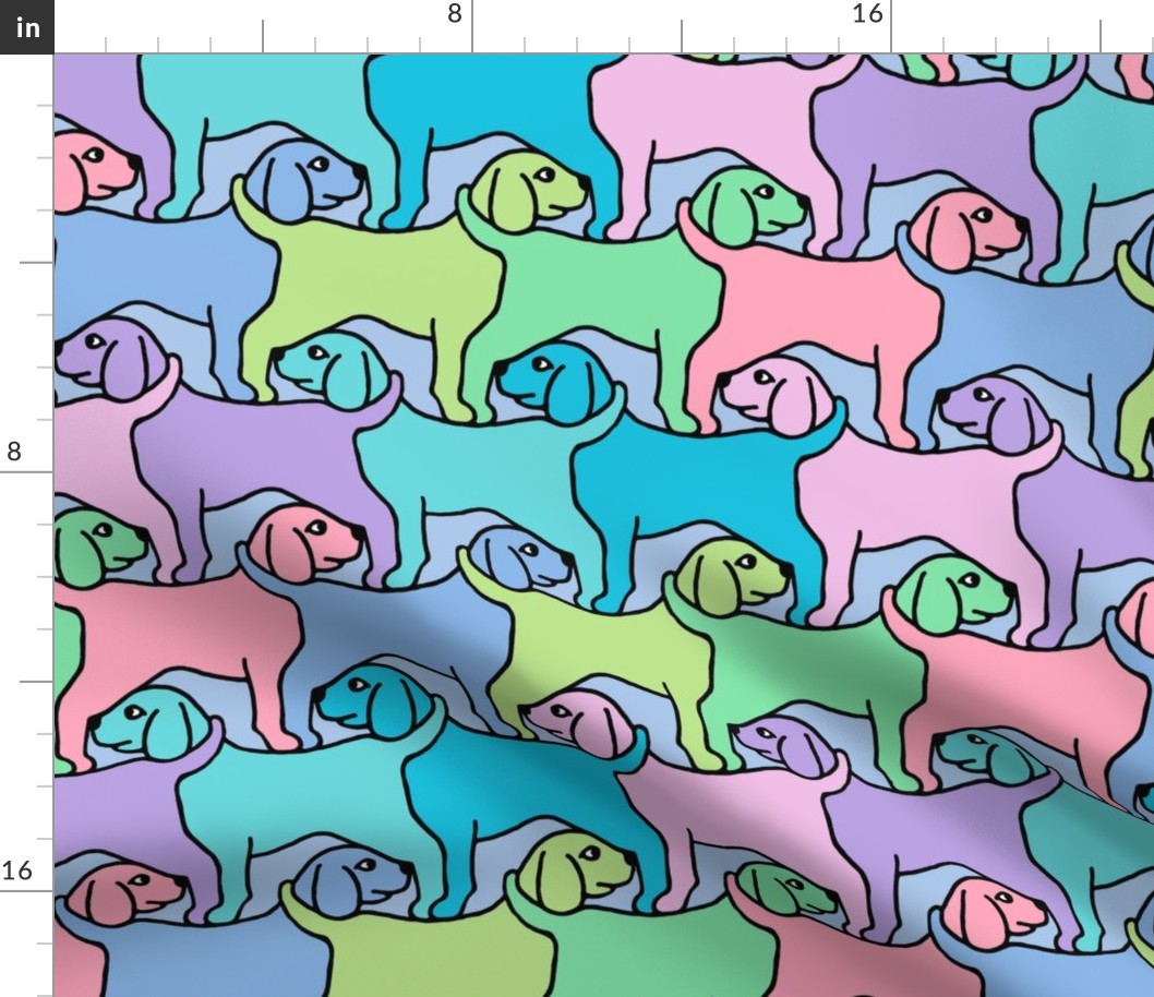 Rainbow Dogs with Border