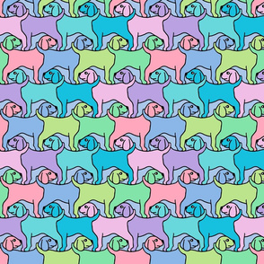 Rainbow Dogs with Border - Smaller