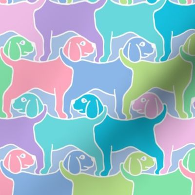 Smaller Rainbow Dogs White Border Smaller 