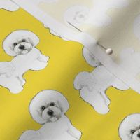 Bichon Frise dog // Sunshine Yellow
