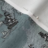 Pirate Ships Map Grey Small