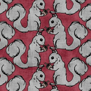 Gray Squirrels on Red