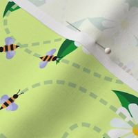 Bee flight paths