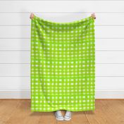 cestlaviv_apllegreen_newgingham_