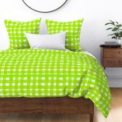 cestlaviv_apllegreen_newgingham_