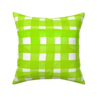 cestlaviv_apllegreen_newgingham_