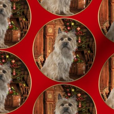 Cairn Terrier Christmas