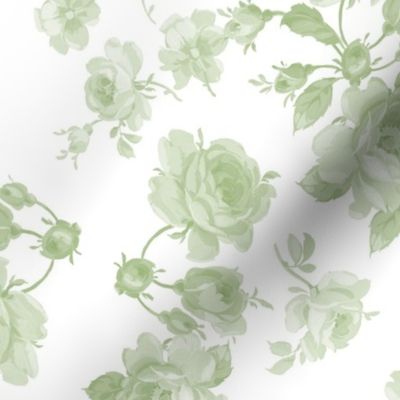 Saint Colette June Roses faded Basil