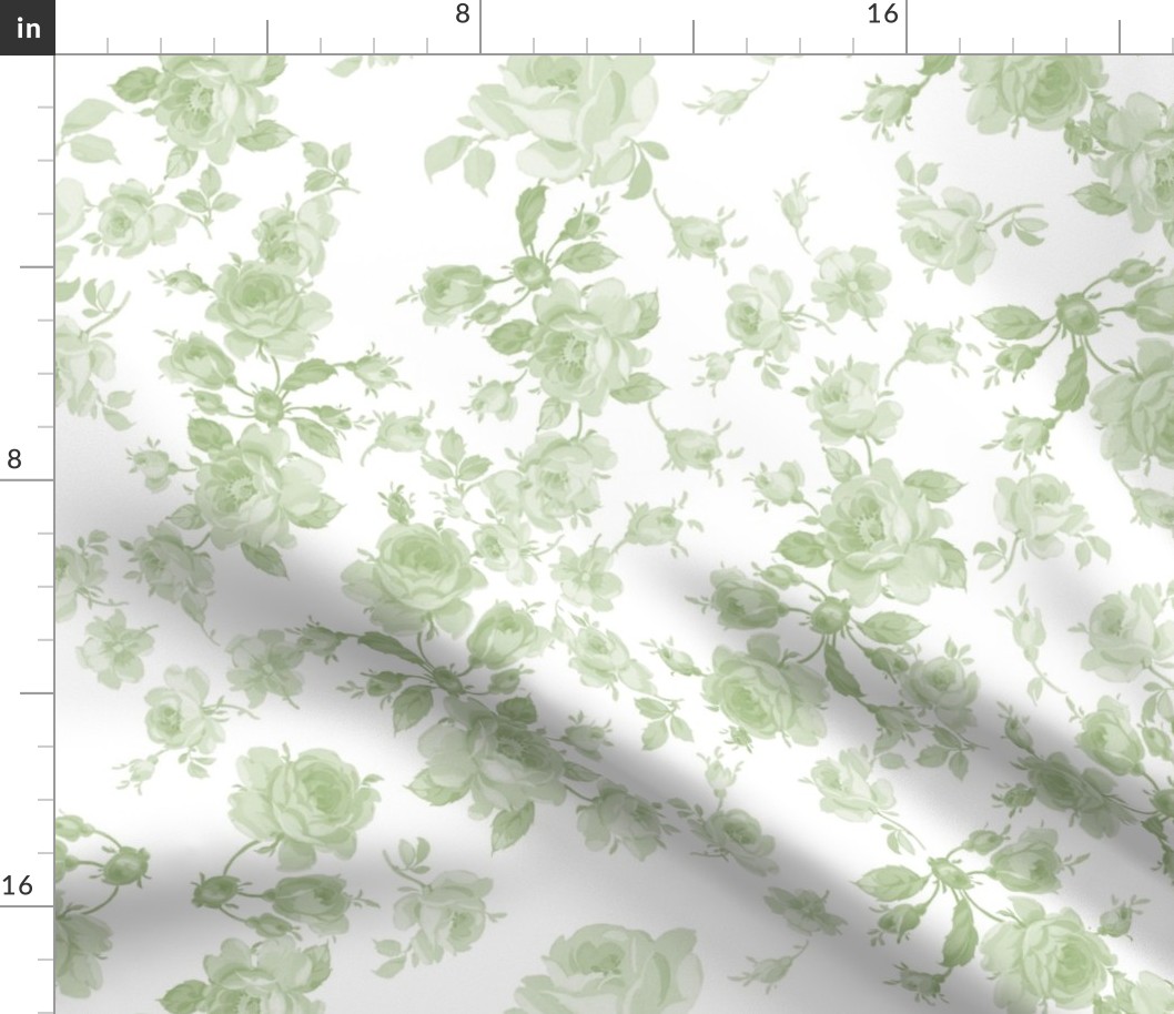 Saint Colette June Roses faded Basil