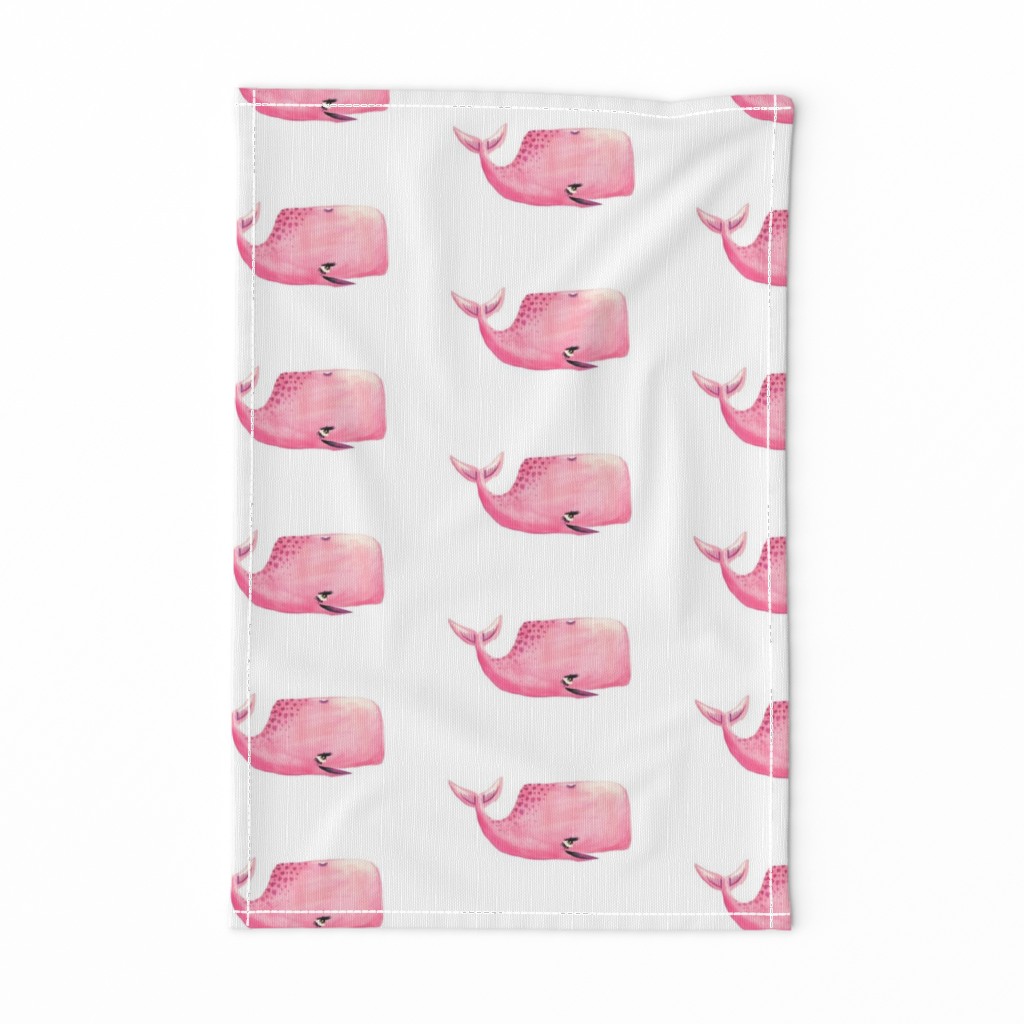 Pink Whale on White Background