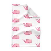 Pink Whale on White Background