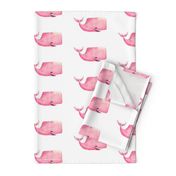 Pink Whale on White Background