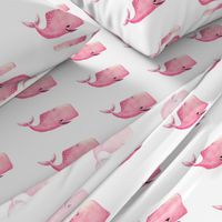 Pink Whale on White Background