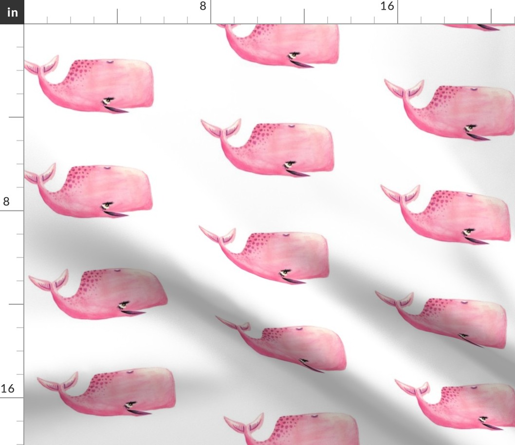 Pink Whale on White Background