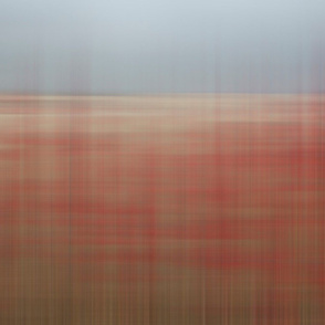 Red and Gray Blur