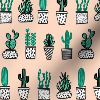 potted plants // cactus plants succulents succulent cacti