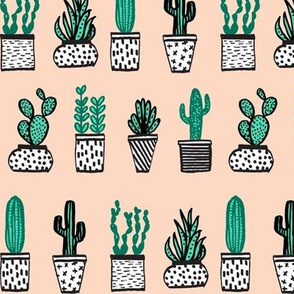 potted plants // cactus plants succulents succulent cacti