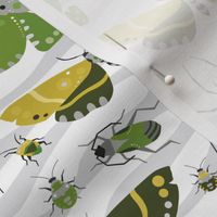 The Bug Invasion - Mustard, Olive and More