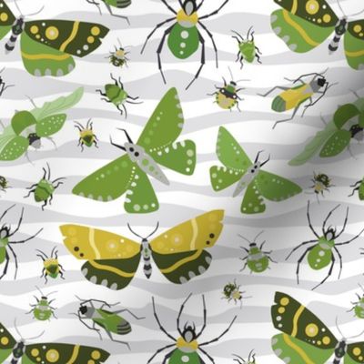 The Bug Invasion - Mustard, Olive and More