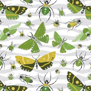 The Bug Invasion - Mustard, Olive and More