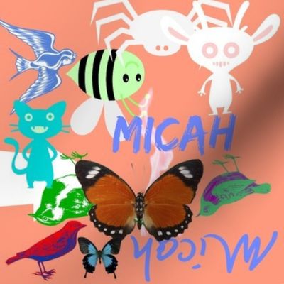 micah 872222222222