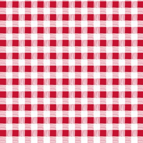 gingham - picnic red