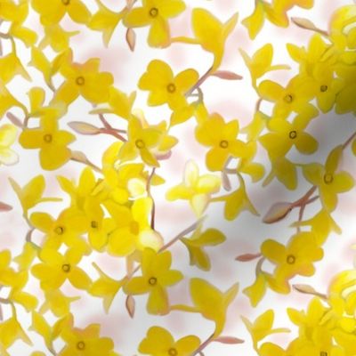 Forsythia on White with Light Pink Hues