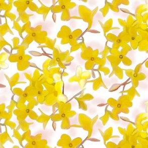 Forsythia on White with Light Pink Hues