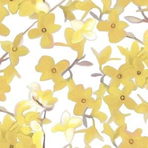 Forsythia on White in Muted Tones