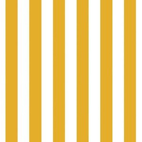 Gold Stripe 