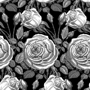 Perle des Jardins ~ Black and White ~ Noir 
