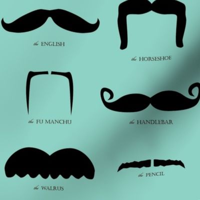 mustache gallery- blue