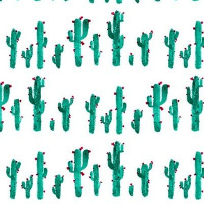 cacti