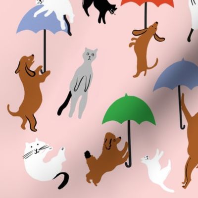 Raining Cats and Dogs 