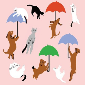 Raining Cats and Dogs 