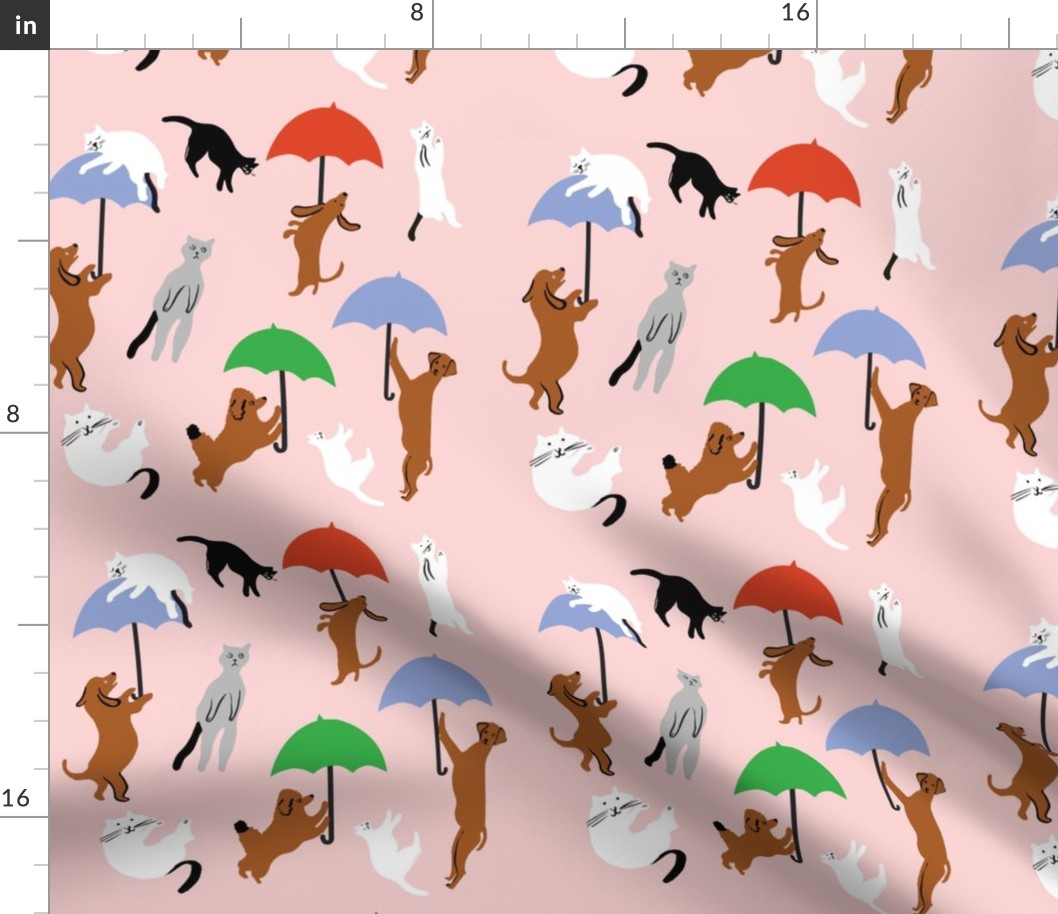 Raining Cats and Dogs 