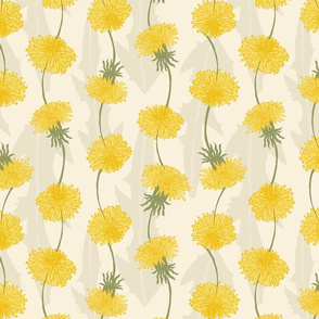 Dandelion flower Wallpaper 4K Flower garden Spring 8827