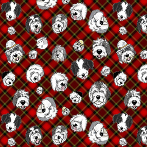 OES Faces Red Plaid